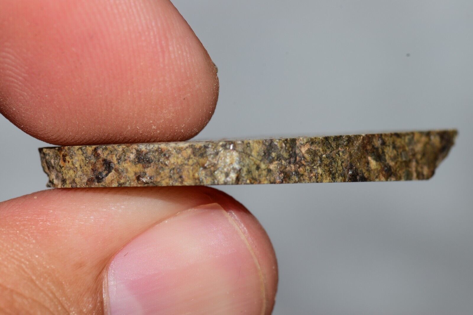 Meteorite Chondrite LL6 NWA 14225 Slice 3.87G with black shock melt veins. W COA - MeteoriteNwa.com