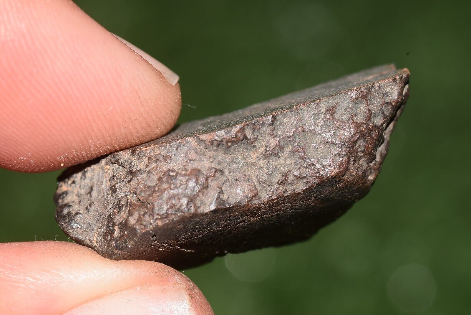 Meteorite chondrite Brownish L6 Nwa 15406 Endcut 10.5 g - MeteoriteNwa.com