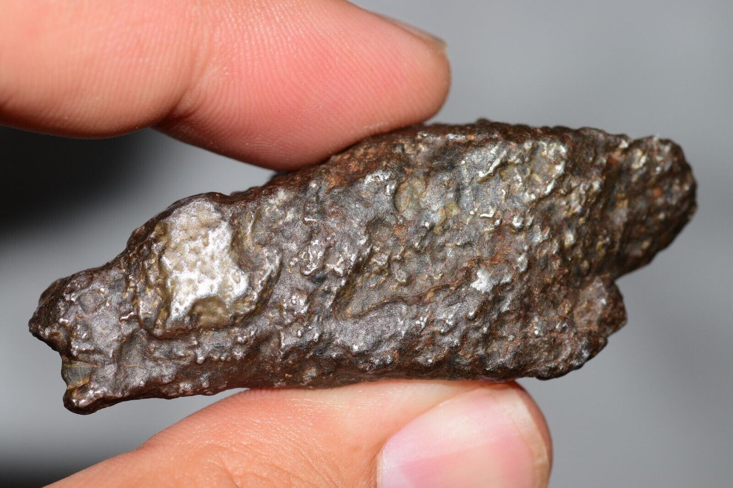 Meteorite Mesosiderite stony Iron NWA 14226 full fragment 42.9 grams WIth COA - MeteoriteNwa.com