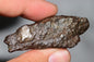 Meteorite Mesosiderite stony Iron NWA 14226 full fragment 42.9 grams WIth COA - MeteoriteNwa.com