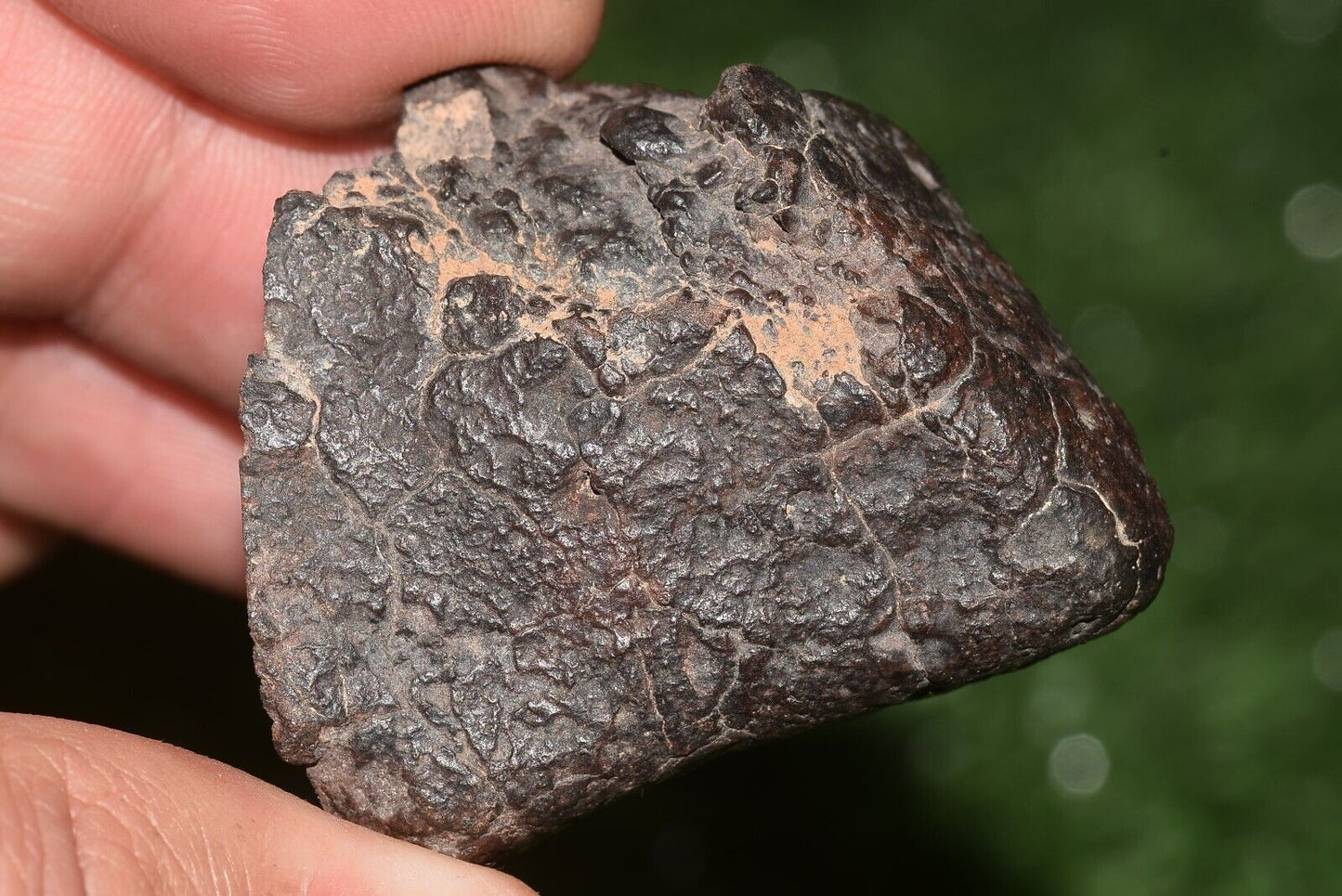Meteorite chondrite Brownish L6 Nwa 15406 Main Mass 49 g - MeteoriteNwa.com