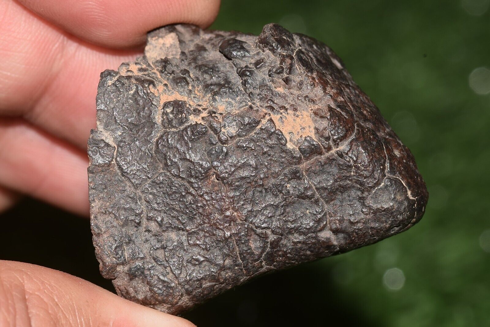 Meteorite chondrite Brownish L6 Nwa 15406 Main Mass 49 g - MeteoriteNwa.com