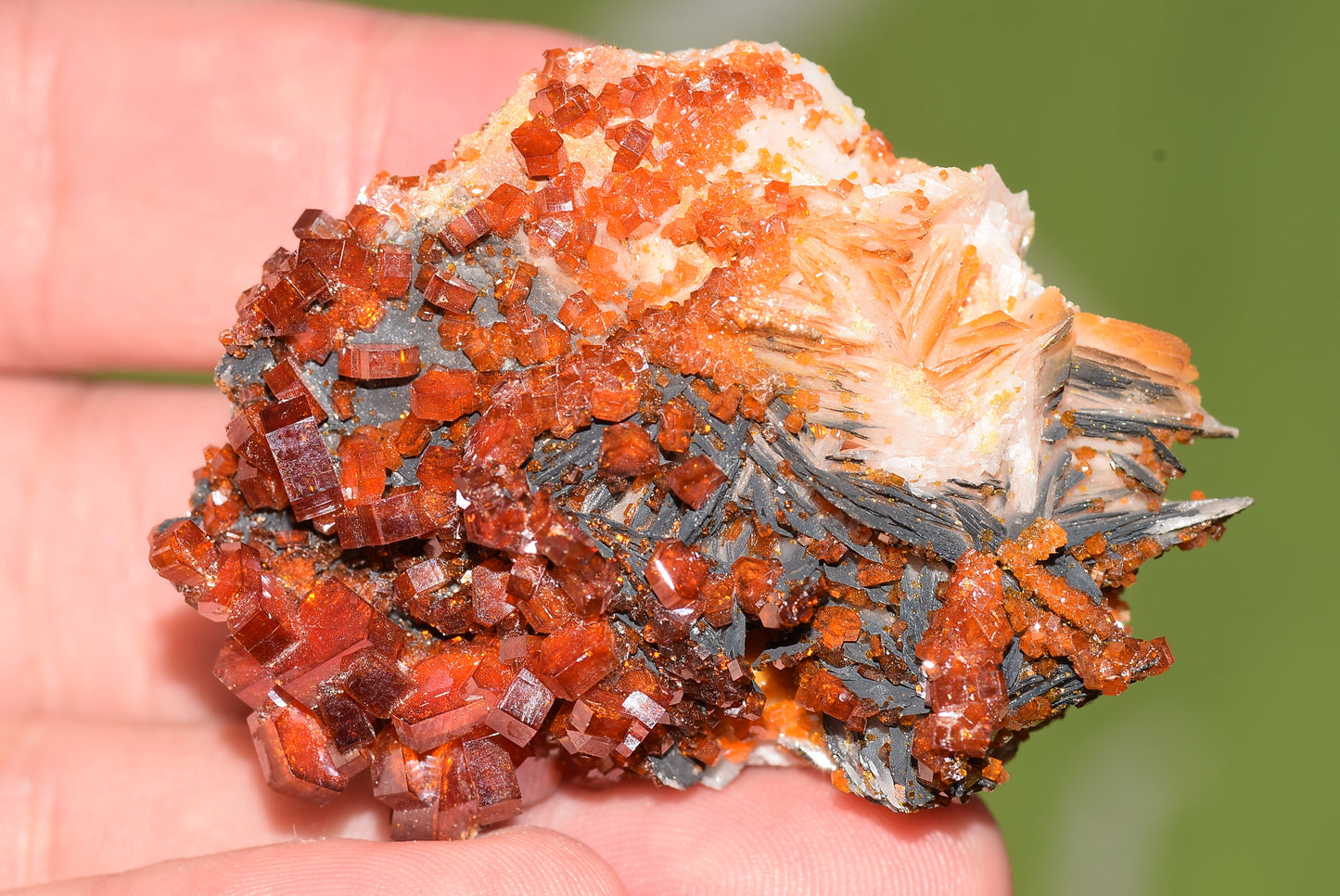 Vanadinite Mineral on Matrix Red Orange Genuine Crystals from Morocco Raw Druzy Natural Specimen Earth Chakra Grounding Gemstone - MeteoriteNwa.com