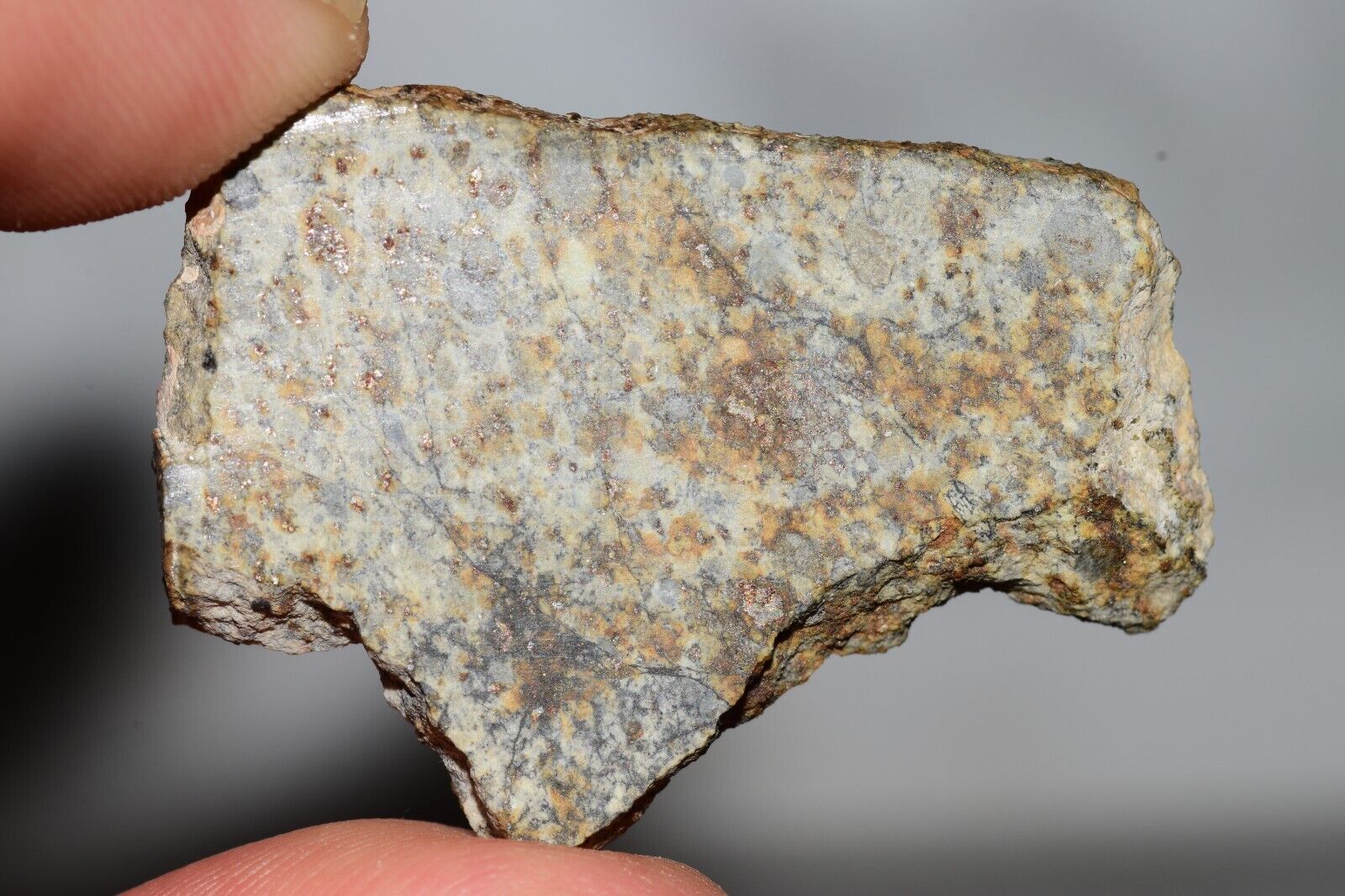 Meteorite Chondrite LL6 NWA 14225 Slice 7.14G with black shock melt veins. W COA - MeteoriteNwa.com