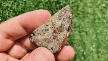 Meteorite Eucrite Breccia Achondrite HED NWA 15405 Endcut 31.5 Grams - MeteoriteNwa.com