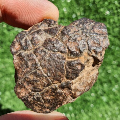 Meteorite Chondrite LL7 NWA 15408 Main Mass 60.6G Brownish rock - MeteoriteNwa.com