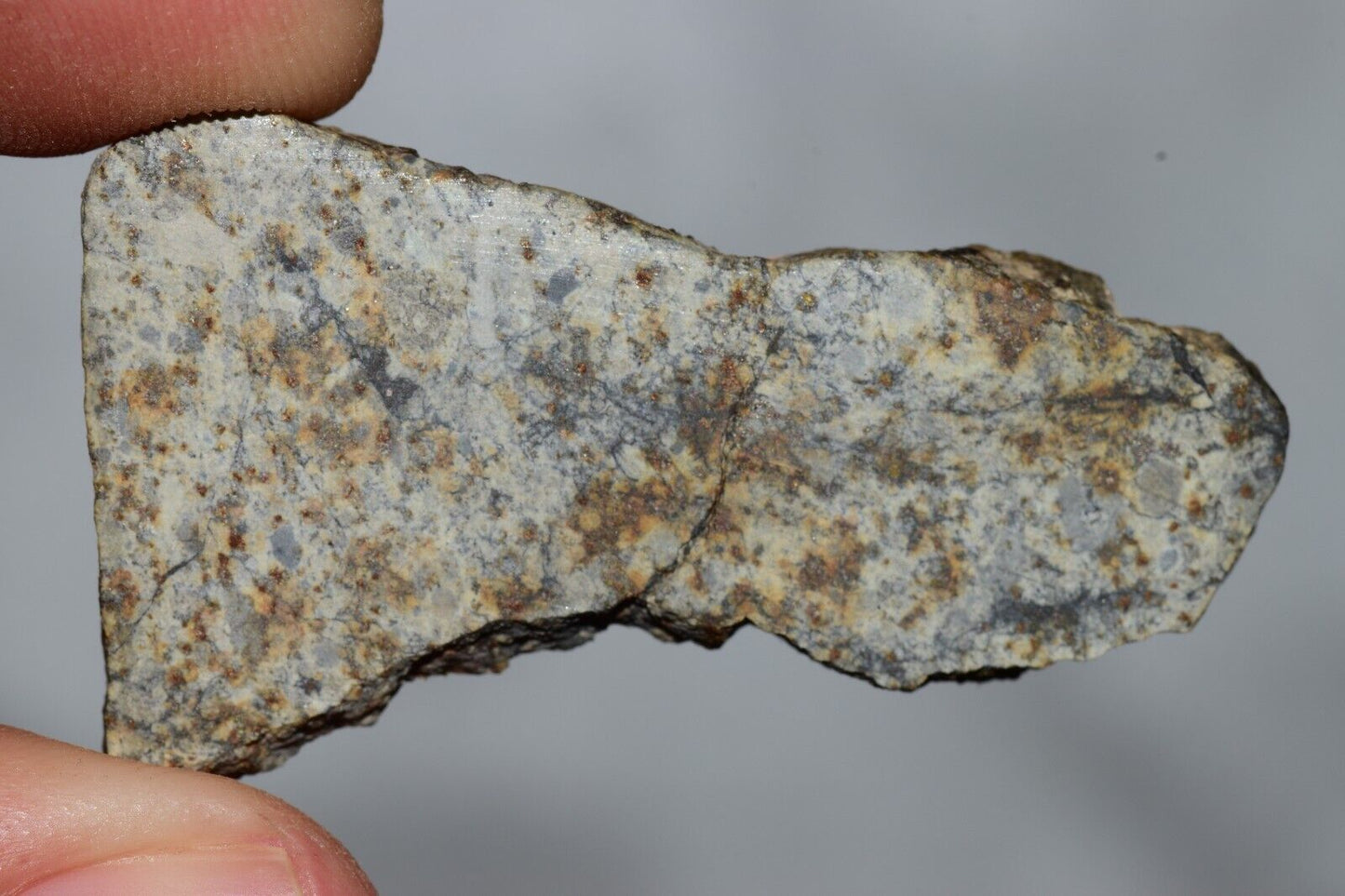 Meteorite Chondrite LL6 NWA 14225 Slice 7.11G with black shock melt veins. W COA - MeteoriteNwa.com