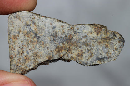 Meteorite Chondrite LL6 NWA 14225 Slice 7.11G with black shock melt veins. W COA - MeteoriteNwa.com