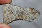 Meteorite Chondrite LL6 NWA 14225 Slice 7.11G with black shock melt veins. W COA - MeteoriteNwa.com