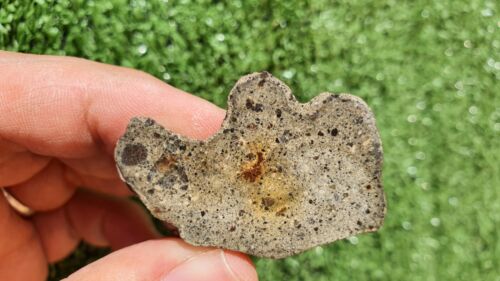 Meteorite Eucrite Breccia Achondrite HED NWA 15405 Endcut 31.5 Grams - MeteoriteNwa.com