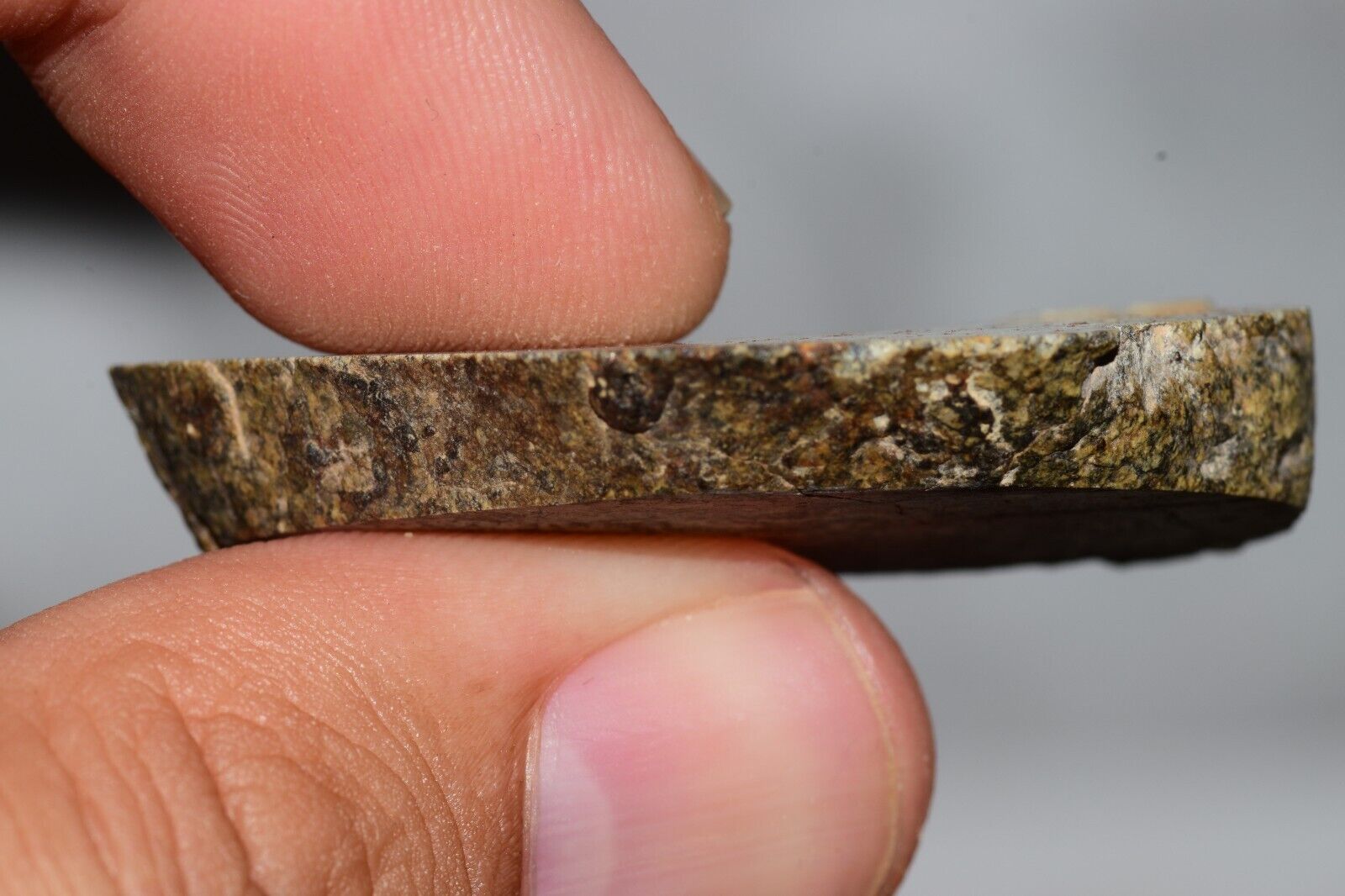 Meteorite Chondrite LL6 NWA 14225 Slice 15.9G with black shock melt veins. W COA - MeteoriteNwa.com