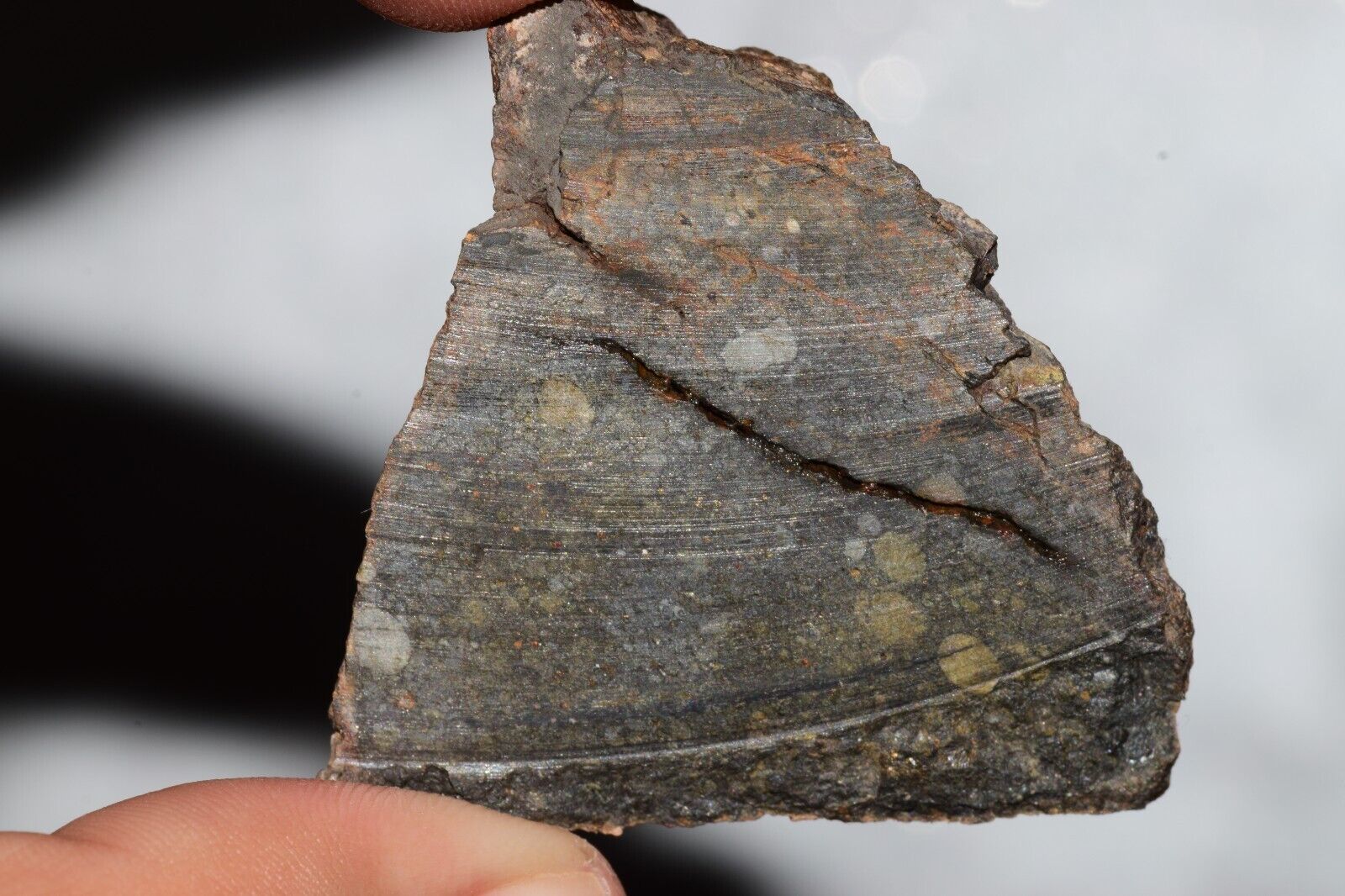 Meteorite Chondrite LL3 NWA 14224 Endcut 43.4G W fine-grained dark gray matrix - MeteoriteNwa.com