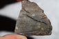 Meteorite Chondrite LL3 NWA 14224 Endcut 43.4G W fine-grained dark gray matrix - MeteoriteNwa.com