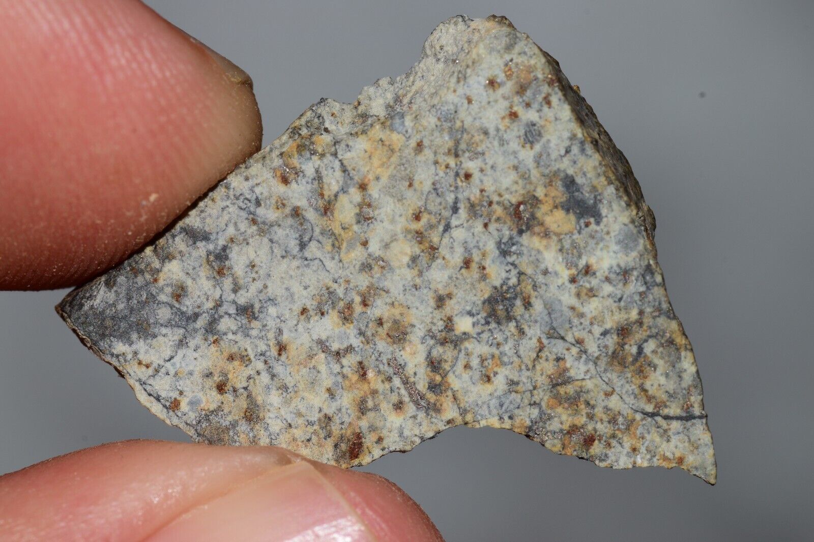 Meteorite Chondrite LL6 NWA 14225 Slice 3.28G with black shock melt veins. W COA - MeteoriteNwa.com