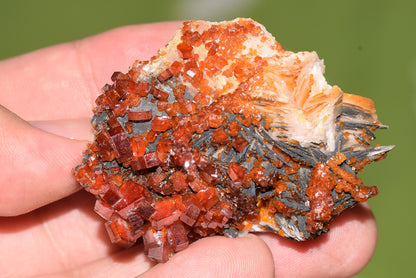 Vanadinite Mineral on Matrix Red Orange Genuine Crystals from Morocco Raw Druzy Natural Specimen Earth Chakra Grounding Gemstone - MeteoriteNwa.com