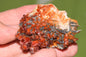 Vanadinite Mineral on Matrix Red Orange Genuine Crystals from Morocco Raw Druzy Natural Specimen Earth Chakra Grounding Gemstone - MeteoriteNwa.com