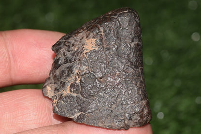 Meteorite chondrite Brownish L6 Nwa 15406 Main Mass 49 g - MeteoriteNwa.com
