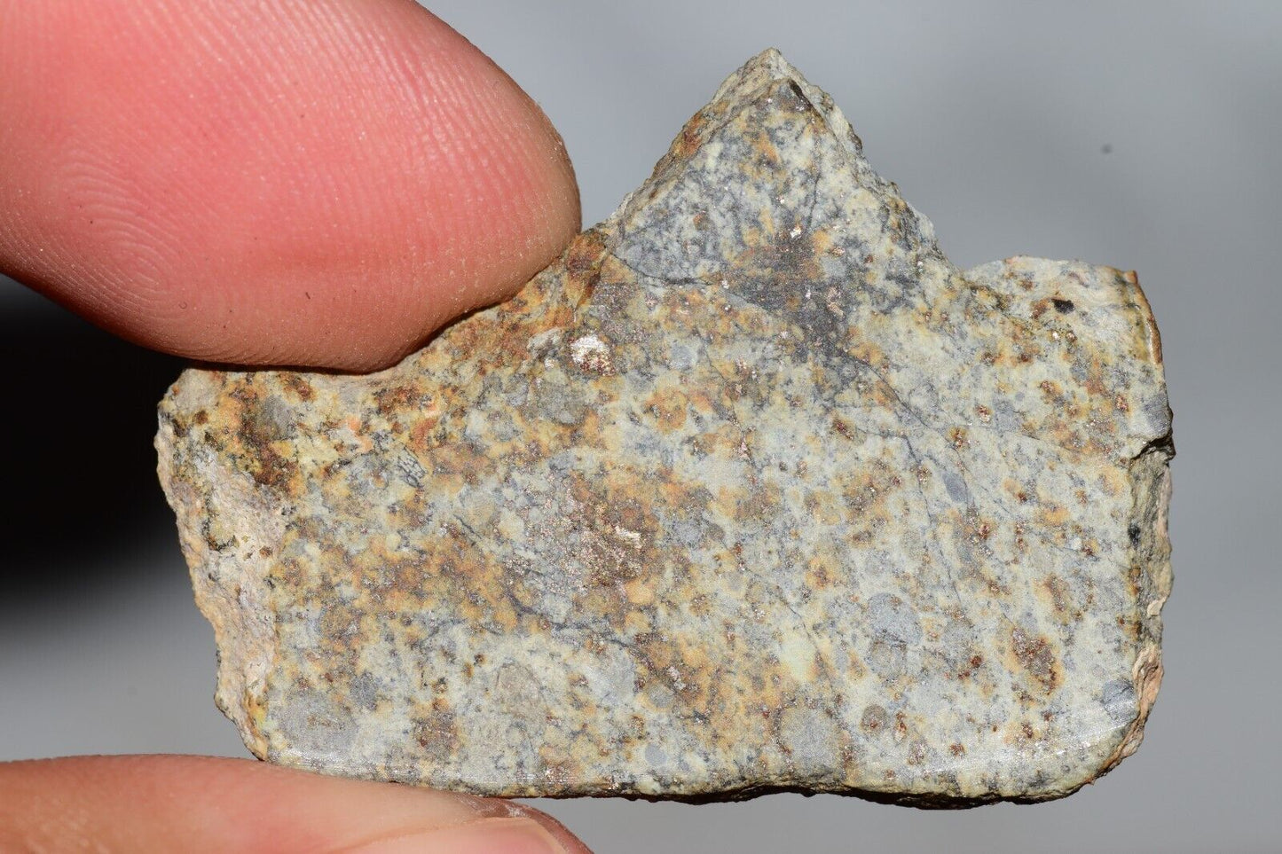 Meteorite Chondrite LL6 NWA 14225 Slice 7.14G with black shock melt veins. W COA - MeteoriteNwa.com