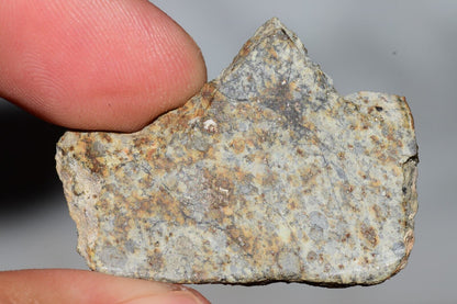 Meteorite Chondrite LL6 NWA 14225 Slice 7.14G with black shock melt veins. W COA - MeteoriteNwa.com