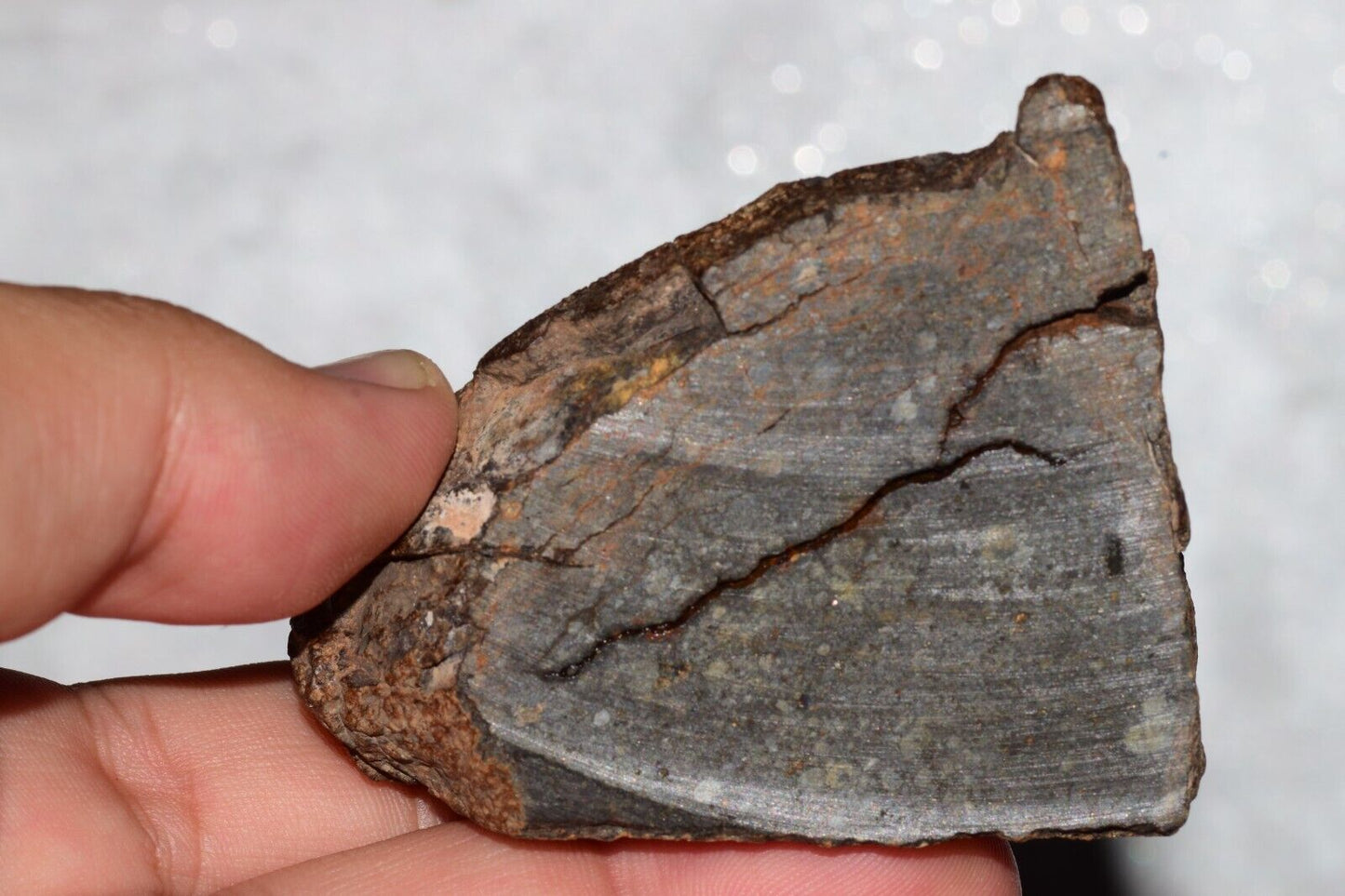 Meteorite Chondrite LL3 NWA 14224 Slice 89.2G with fine-grained dark gray matrix - MeteoriteNwa.com