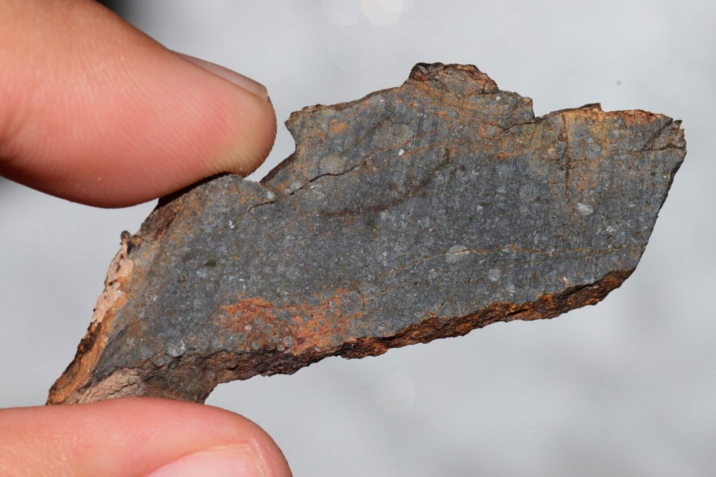 Meteorite Chondrite LL3 NWA 14224 Slice 7.18G with fine-grained dark gray matrix - MeteoriteNwa.com
