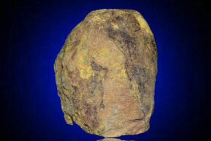 Meteorite Al haggounia 001 El Melt Rock full fragment 264 g COA included - MeteoriteNwa.com