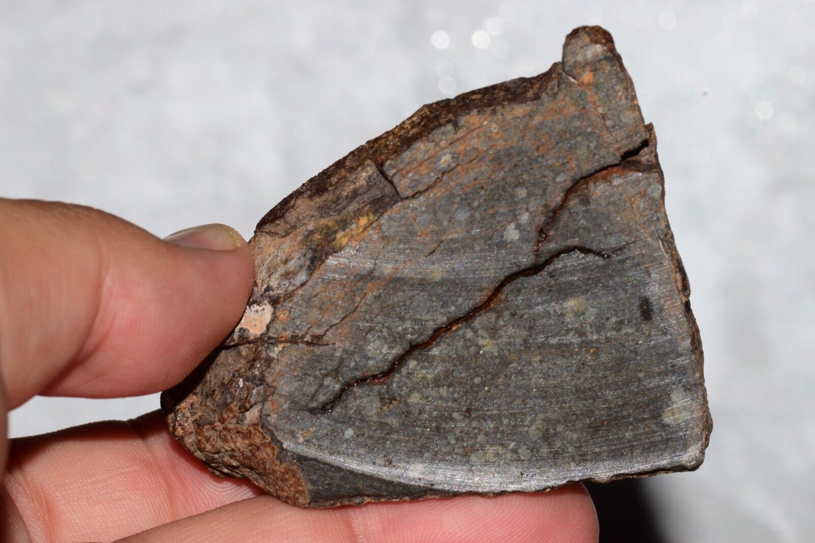 Meteorite Chondrite LL3 NWA 14224 Slice 89.2G with fine-grained dark gray matrix - MeteoriteNwa.com