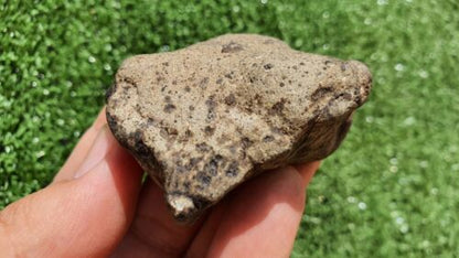 Meteorite Eucrite Breccia Achondrite HED NWA 15405 Main Mass 107 Grams - MeteoriteNwa.com