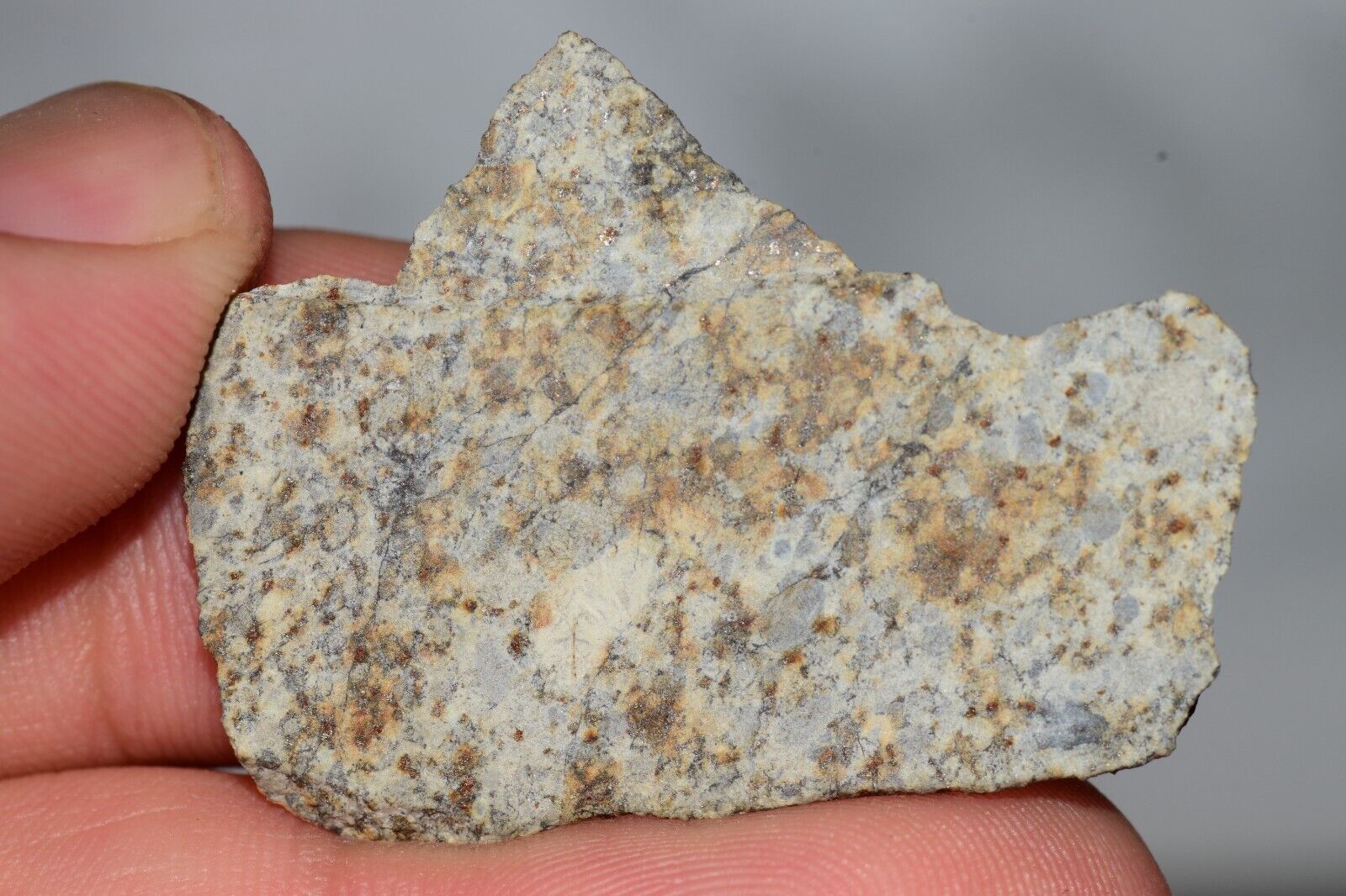 Meteorite Chondrite LL6 NWA 14225 Slice 7.14G with black shock melt veins. W COA - MeteoriteNwa.com
