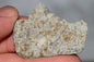 Meteorite Chondrite LL6 NWA 14225 Slice 7.14G with black shock melt veins. W COA - MeteoriteNwa.com