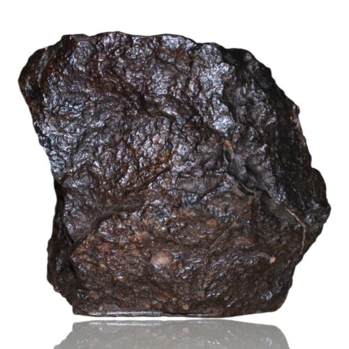 Rare Meteorite Chondrite L3 Melt Breccia NWA 14886 - Only 5 in the World - 80.8g - MeteoriteNwa.com