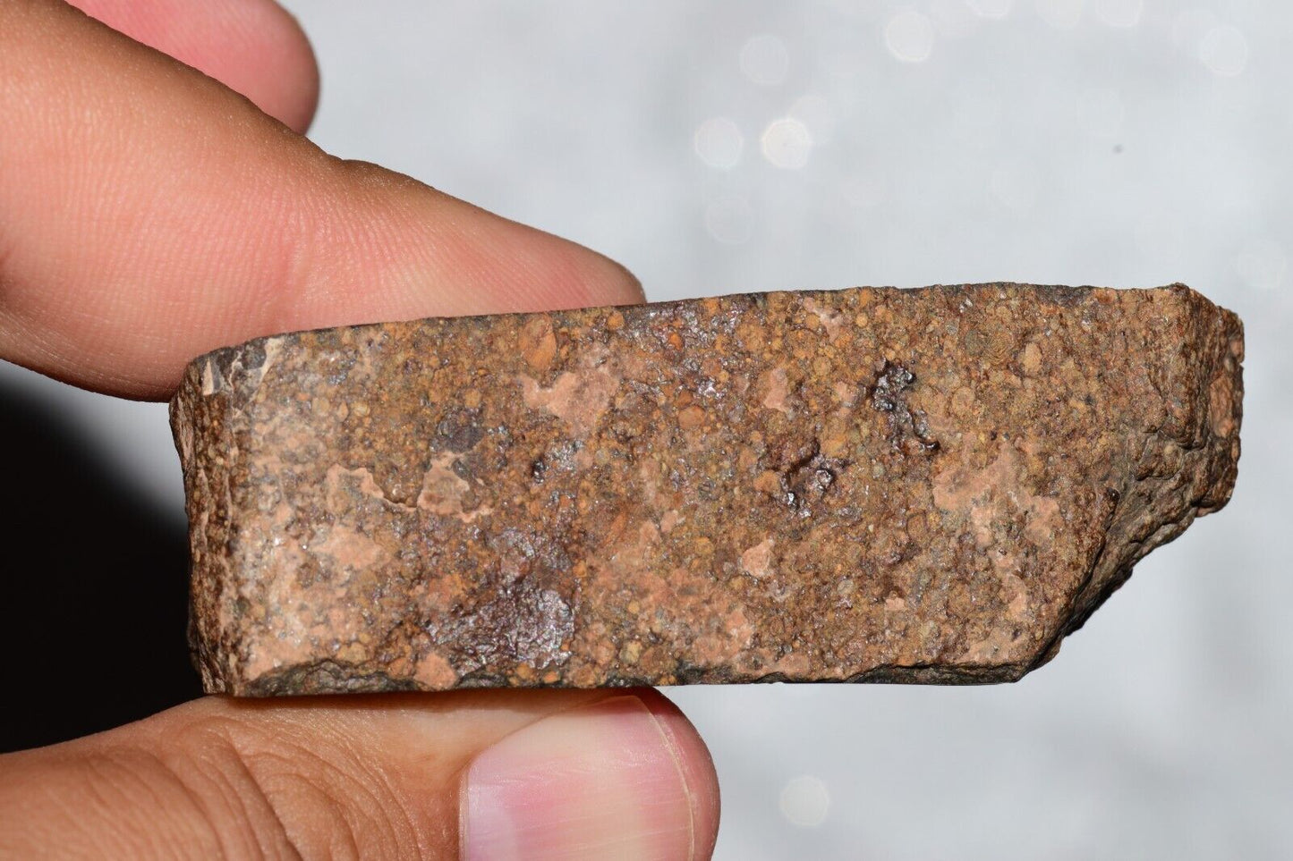 Meteorite Chondrite LL3 NWA 14224 Slice 89.2G with fine-grained dark gray matrix - MeteoriteNwa.com