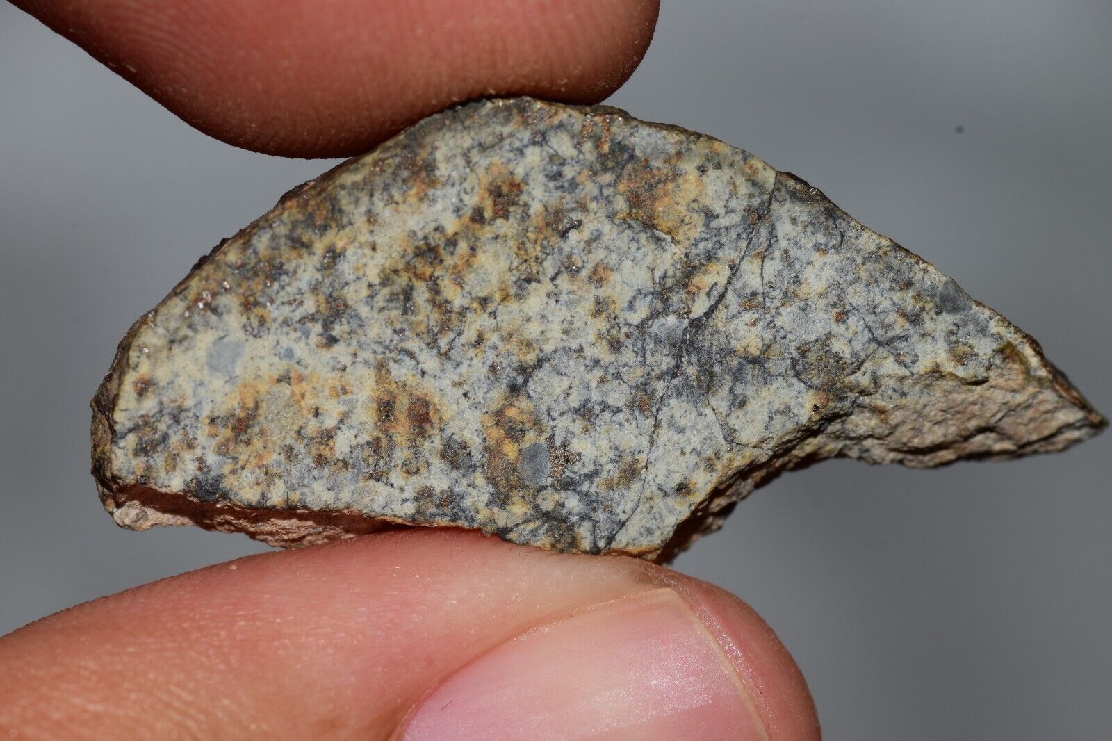 Meteorite Chondrite LL6 NWA 14225 Slice 3.87G with black shock melt veins. W COA - MeteoriteNwa.com